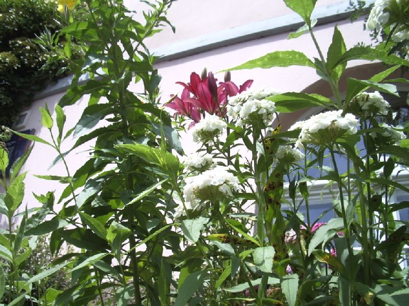 2011- 301.jpg